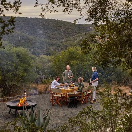 Kwandwe Private Game Reserve - Melton Manor Grahamstown Ngoại thất bức ảnh